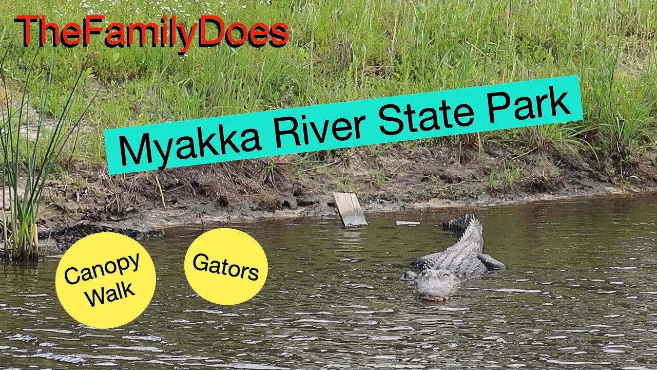 TheFamilyDoes Florida's Myakka River State Park