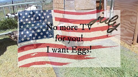 No more TV for you! I want Eggs! Part 1