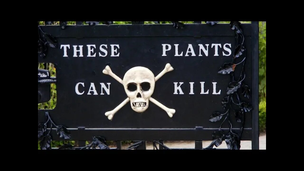 The Random Show presents POISONOUS PLANTS