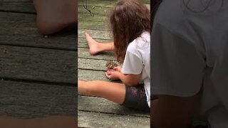 Feeding Chipmunks!!!