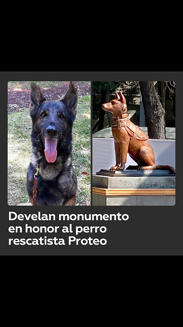 Inauguran en México monumento a Proteo, perro rescatista que murió en Turquía