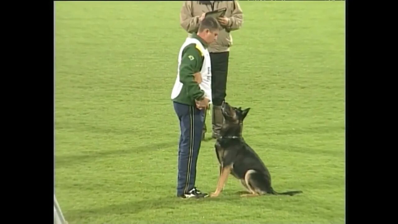 🐕 German Sheperd at the World Championship - WUSV