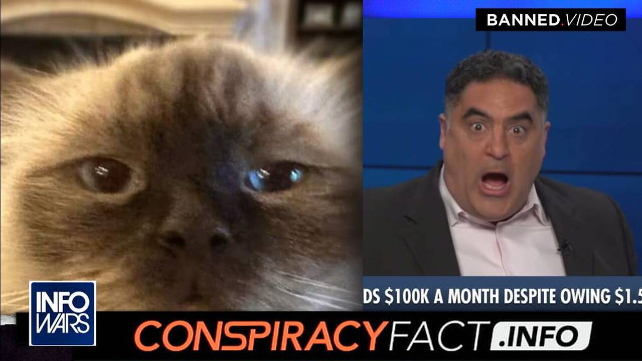 Bestiality Promoter Cenk Uygur Lies About Alex Jones’ Cat