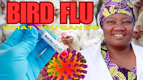 Culture War | Bird Flu- What YOU Can DO? | Dr. Stella Immanuel | President Donald Trump’s 34 Unprecedented Felony Counts- What Does This Mean For Us?