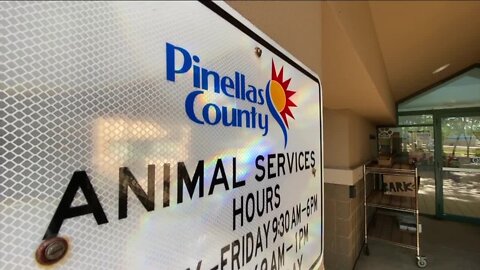 Pinellas animal services suspend dog intake