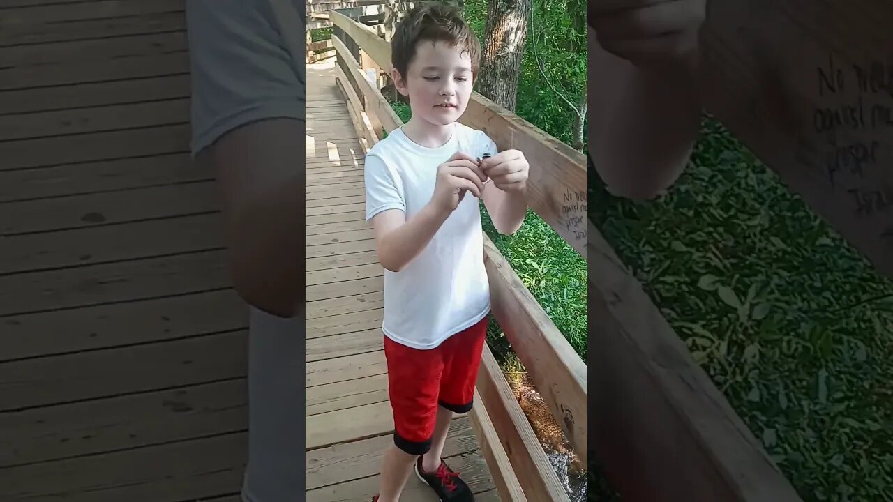 😆✌️