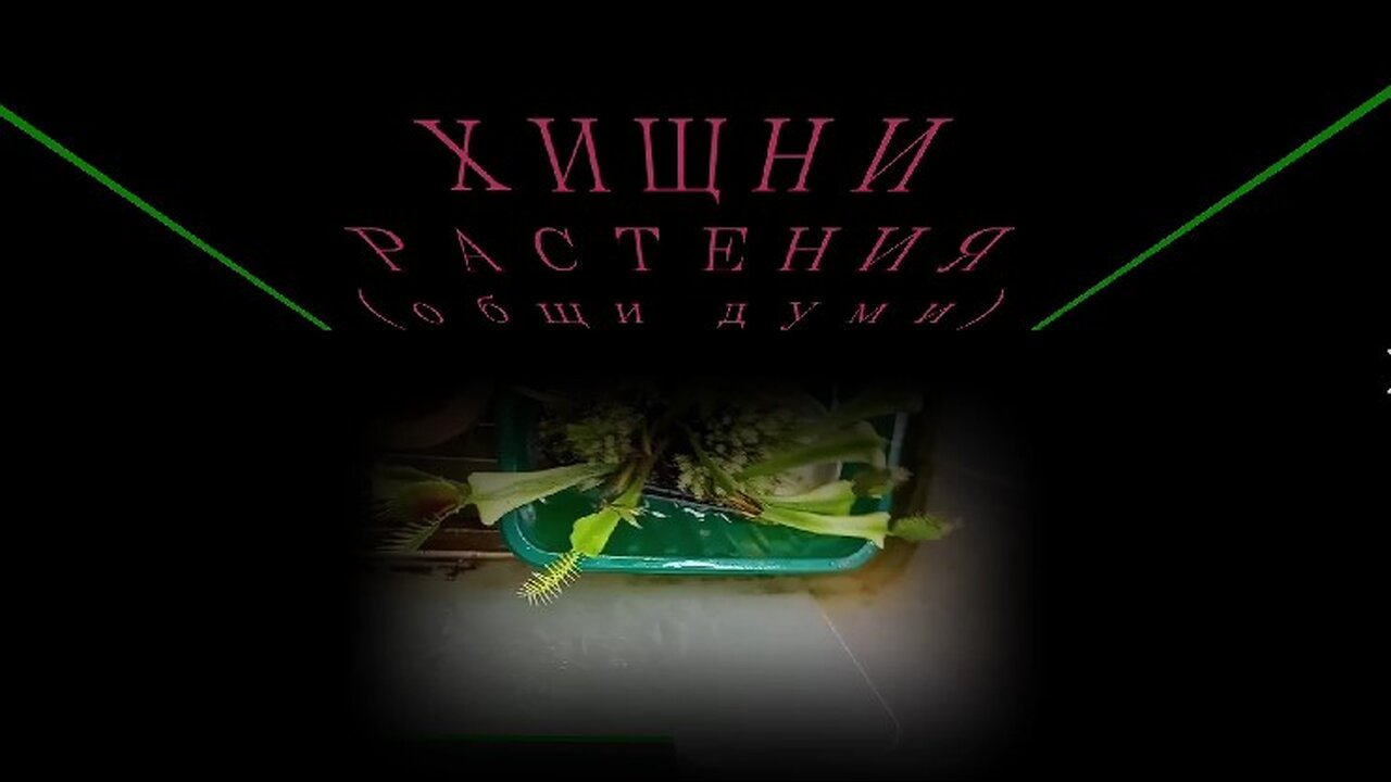 ХИЩНИ РАСТЕНИЯ - Част 1 (Общи думи)