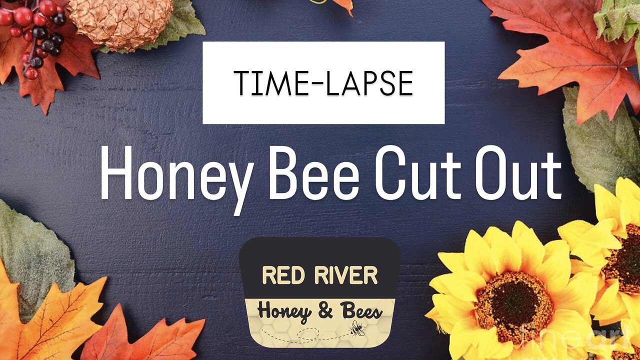 Honey Bee Cut Out