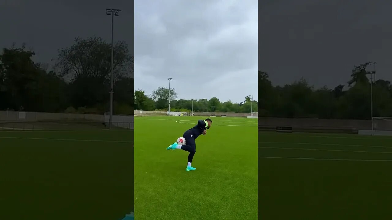 He Sounds Like A Seagull! 🤣