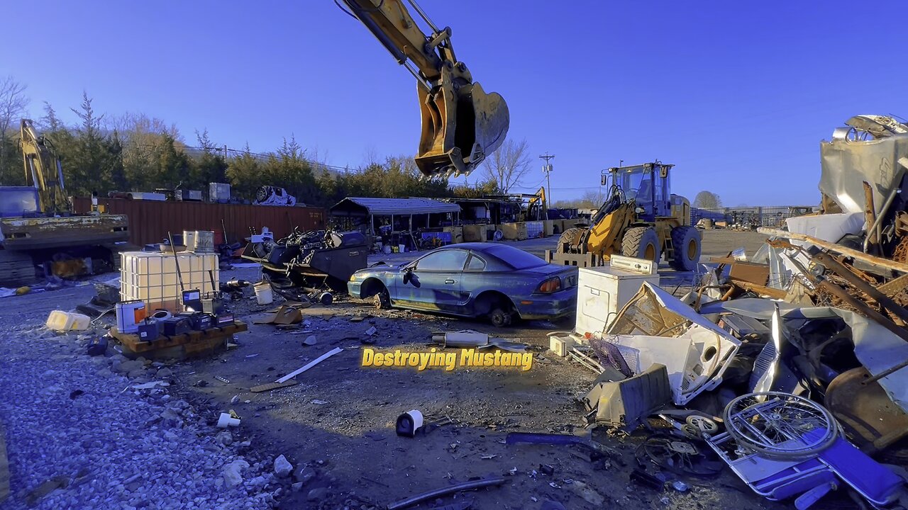 Crushing Mustang