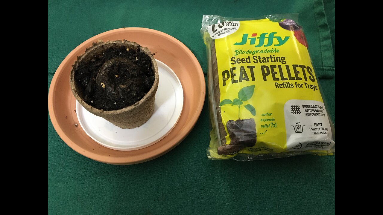 Planting Season 3 Vegetables