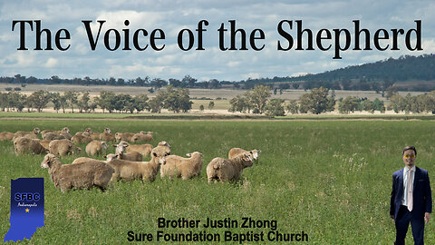 The Voice of the Shepherd | Brother Justin Zhong
