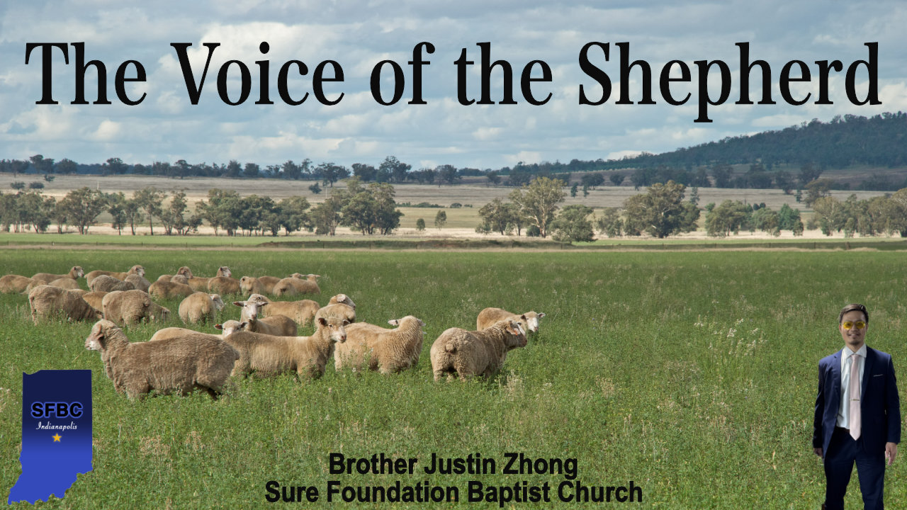 The Voice of the Shepherd | Brother Justin Zhong