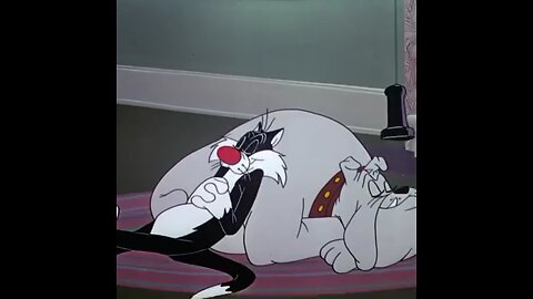 Funny Cat Cartoon.