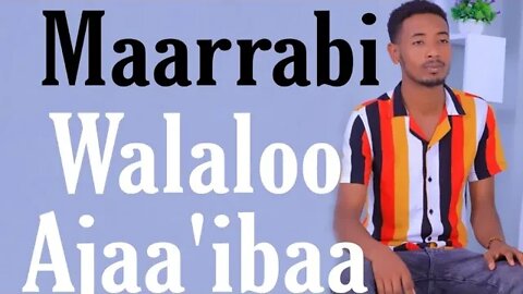 walaloo ajaa'ibaa #maarrabi Afaan Oromoo by Abdulfata abdulahi