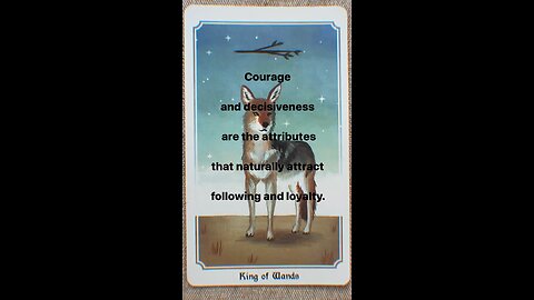 MEDITATION #leadership #courage #decisiveness #followers #loyalty #tarot #tarotary #dailycard