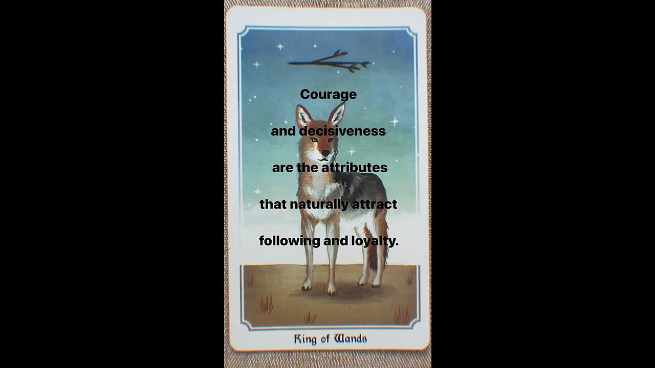 MEDITATION #leadership #courage #decisiveness #followers #loyalty #tarot #tarotary #dailycard