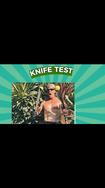 🍋 👑 Testing Three BIG 🔪 knives! Entertainment