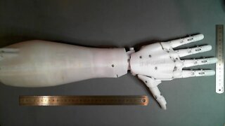 Fred's Left Hand Part 4