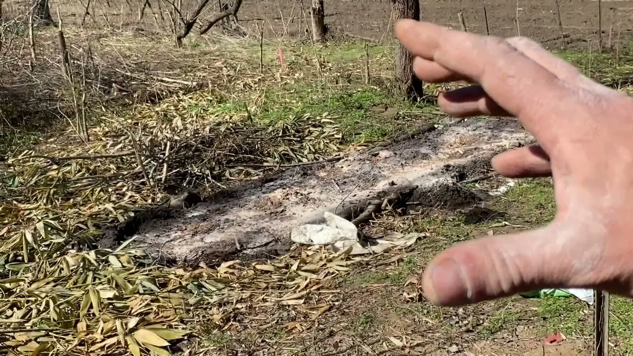 Building a no dig raised bed in the food forest