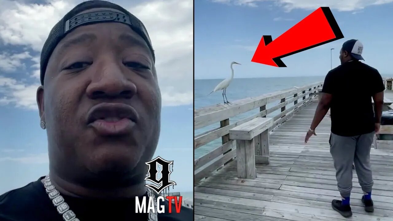 Yung Joc Offers His Homie $2k If He Can Catch A Bird! 🦢