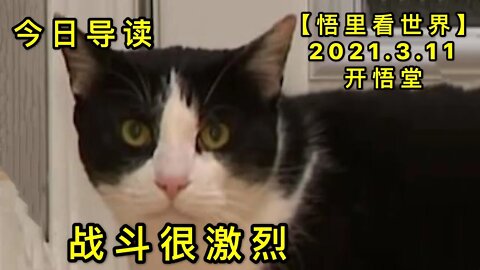 KWT1300战斗很激烈-今日导读20210311-1【悟里看世界】