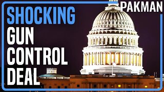 SHOCK: 10 Senate Republicans Agree to Gun Control Bill