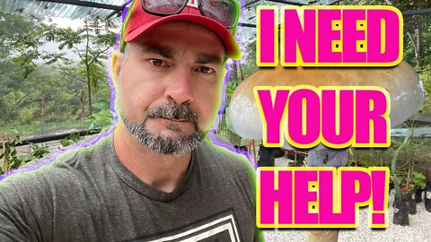 I SERIOUSLY NEED YOUR HELP, WE ARE STRONGER TOGETHER! #FUNGI