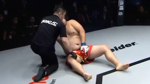 MMA Fight Called Off After GRUESOME Groin Kick 20 Seconds into the Match