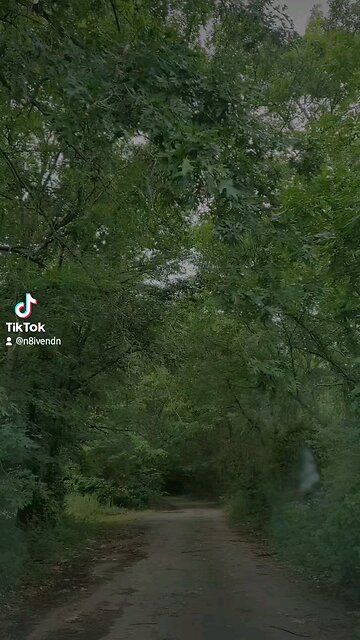 Life is full of lessons...