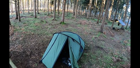 Virtual Tour of a woodland wildcampsite. 20th Jan 2023