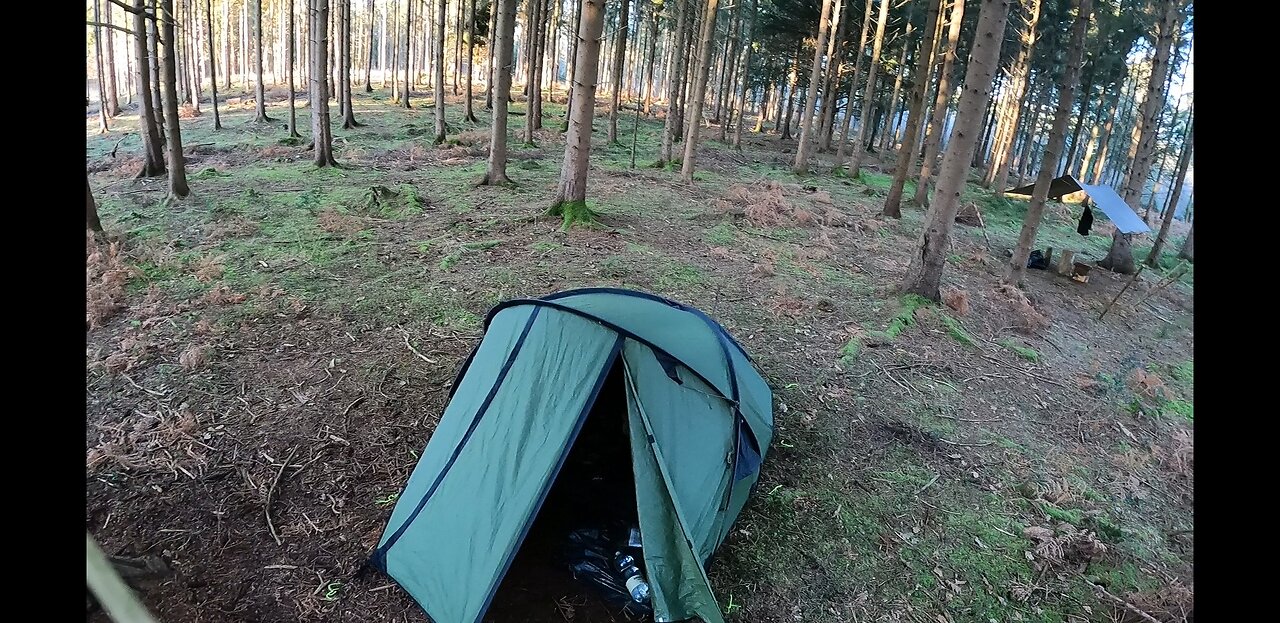 Virtual Tour of a woodland wildcampsite. 20th Jan 2023