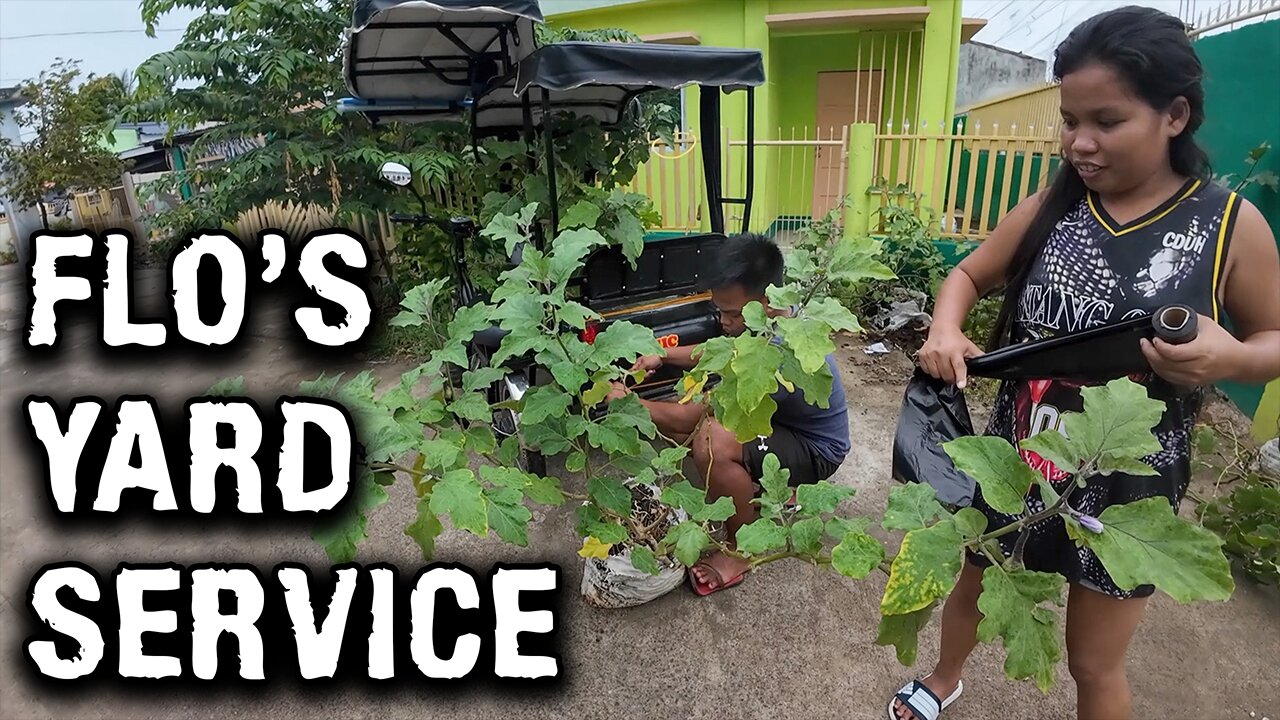 Eggplant Jungle and Yard Cleanup at Green Acres Ranch