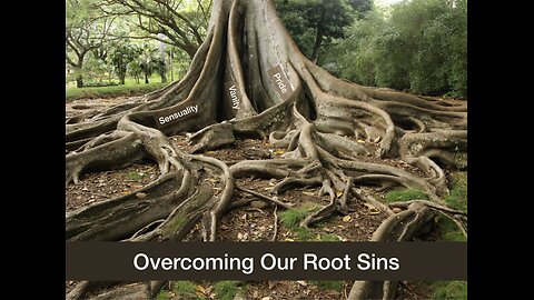 Holier, Happier, Healthier New Year Identifying & Rooting Out Our Principal Sins VIII