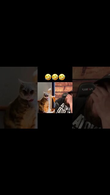 Here’s Your Dose Of REALarious…🤣🤣🤣