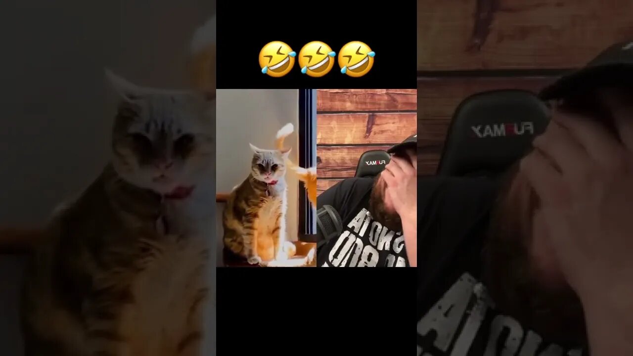 Here’s Your Dose Of REALarious…🤣🤣🤣