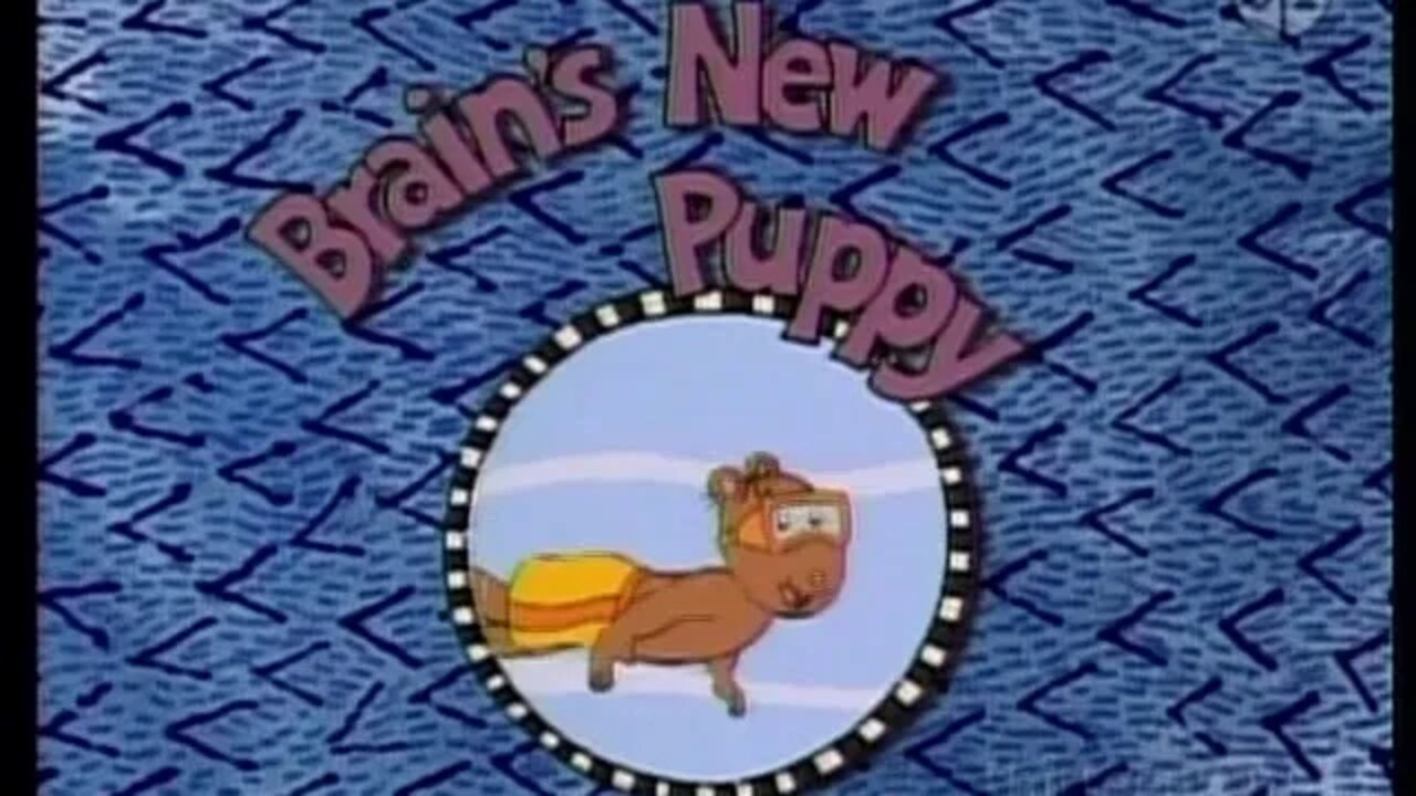 If Brain had his own TV show | Arthur