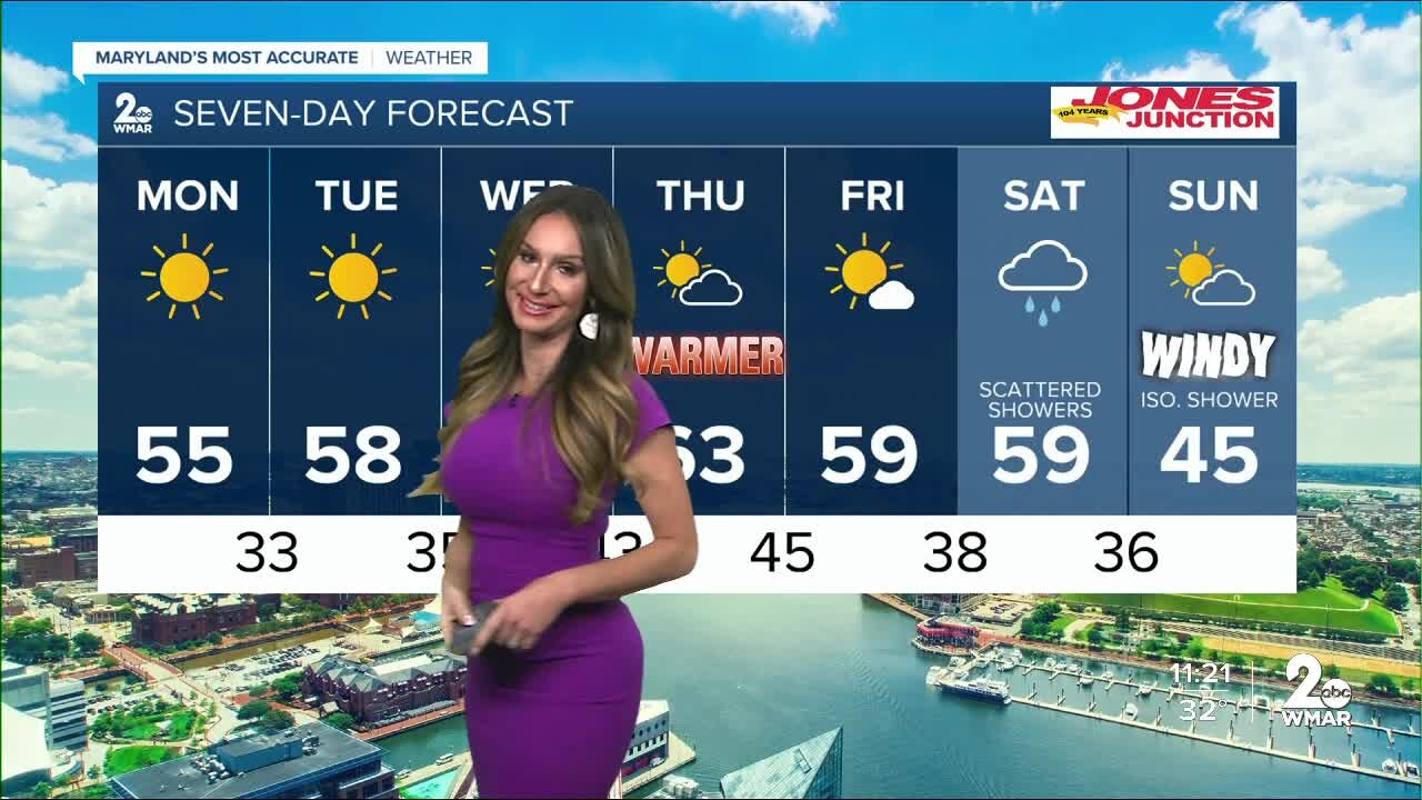 7 Day Forecast