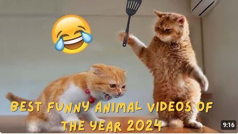 Best Funny Animal Videos of the year (2024), funniest animals ever. relax with cute animals