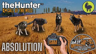 Absolution, Cuatro Colinas | theHunter: Call of the Wild (PS5 4K)