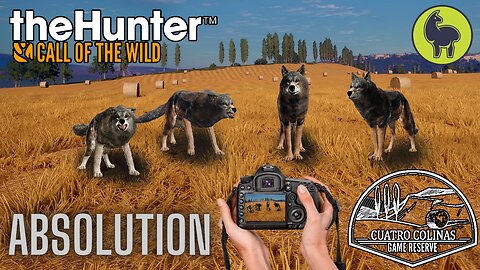 Absolution, Cuatro Colinas | theHunter: Call of the Wild (PS5 4K)