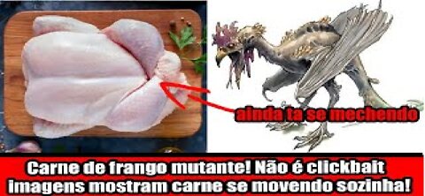 Carne de frango mutante! Não é clickbait imagens mostram carne se movendo sozinha