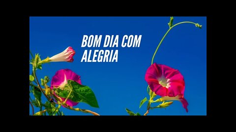 BOM DIA COM ALEGRIA.