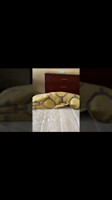 enjoying a hotel stay