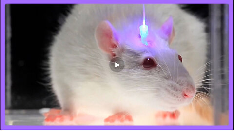 MUST WATCH - REESE REPORT - Optogenetics and the Secret Worldwide Nanotech Experiment