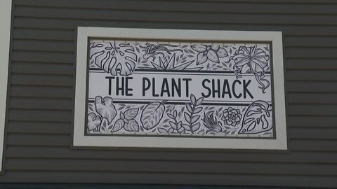 'The Shack that Gives Back': Lewiston botanist offering zen in the form of unique houseplants