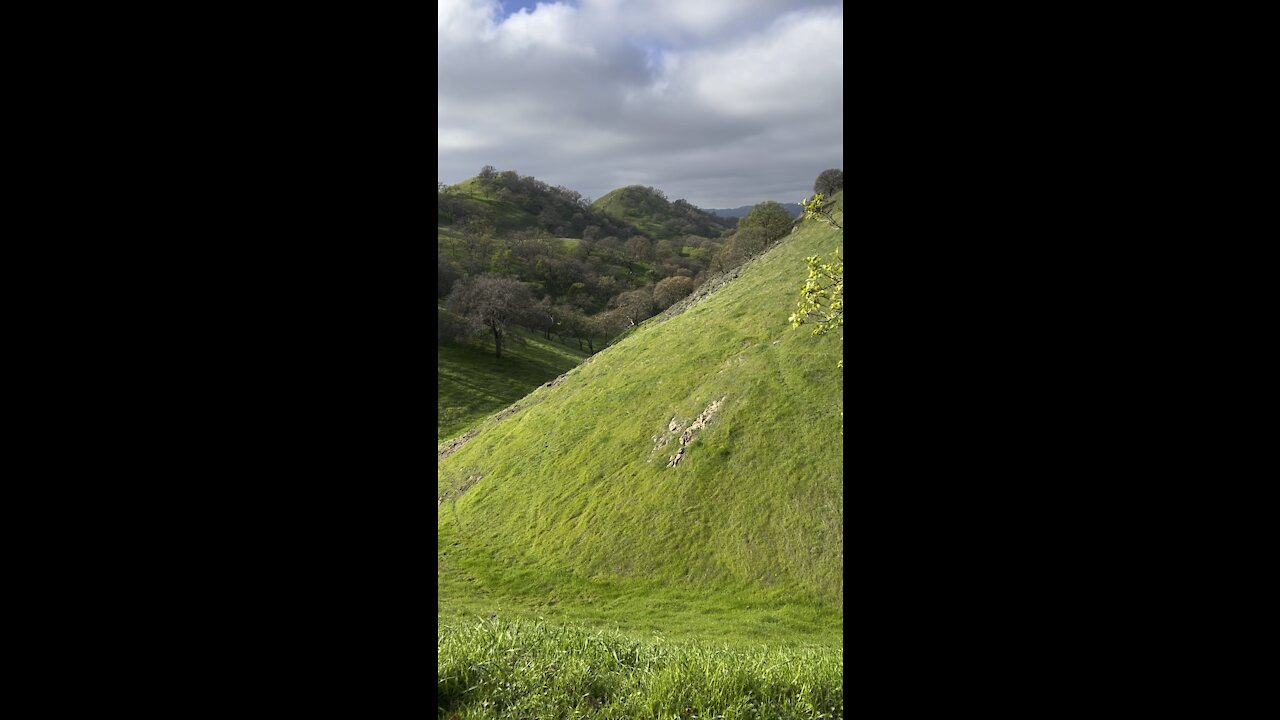 Rolling Green Hills in NorCal