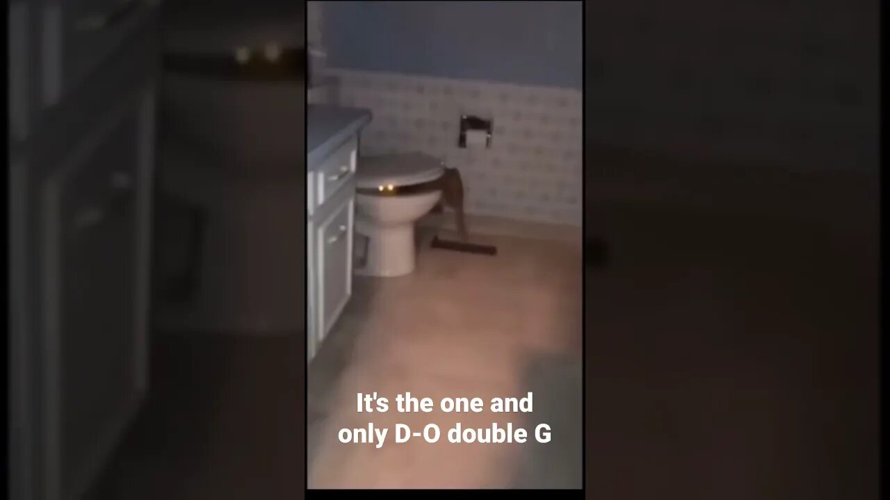 MEME is the one and only D-O double G #shorts