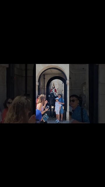 Don't touch the Reins and the Horse scares a tourist #horseguardsparade