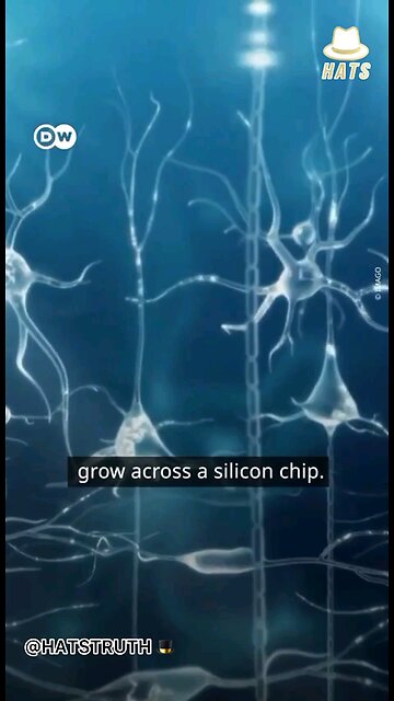 Computer Chip made with Human Brain Cells.. Subscribe to us for more content